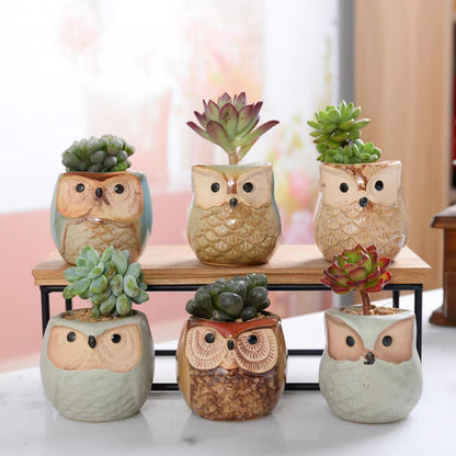 6 Packs, 6.35 cm Owl Succulent Plant Pots - Mini Ceramic Planters with Drainage Holes