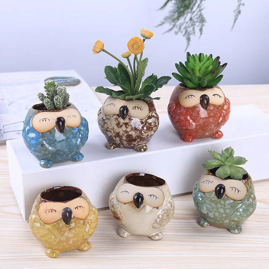 Wholesale Mini Owl Planter Pots - Cute Succulent & Bonsai Flowerpots for Home, Garden, Wedding, and Birthday Gifts"