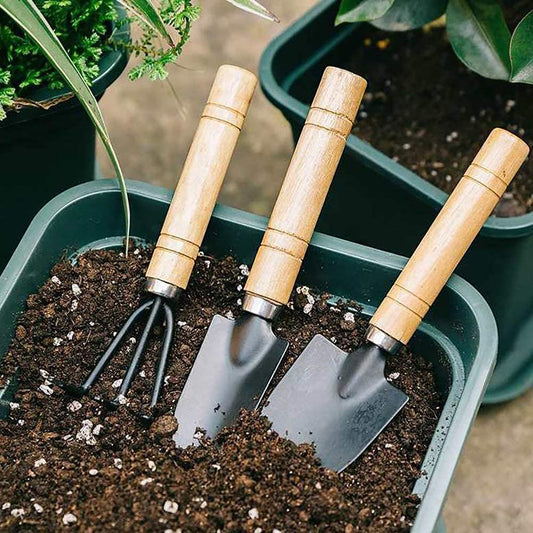 3Pcs/set Mini Potting Tools Set Succulent Gardening Loosening Tools Outdoor Hand Plant Flower Shovel Rake