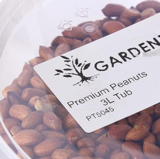 Garden Ting Premium Peanut Kernels, Wild Bird Food Tub, 3 Litre